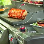 Weber iGrill MINI | Chytrý kapesní teploměr (7202)
