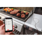 Weber iGrill 3 | Chytrý grilovací teploměr (7205)