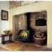 Jotul F 500 ECO SE BBE